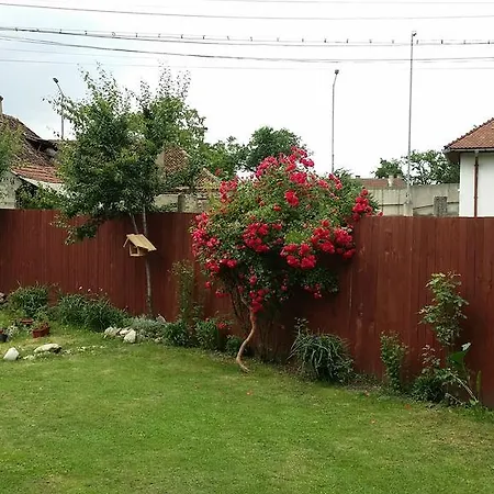 Casa Borgo Gasthuis Braşov